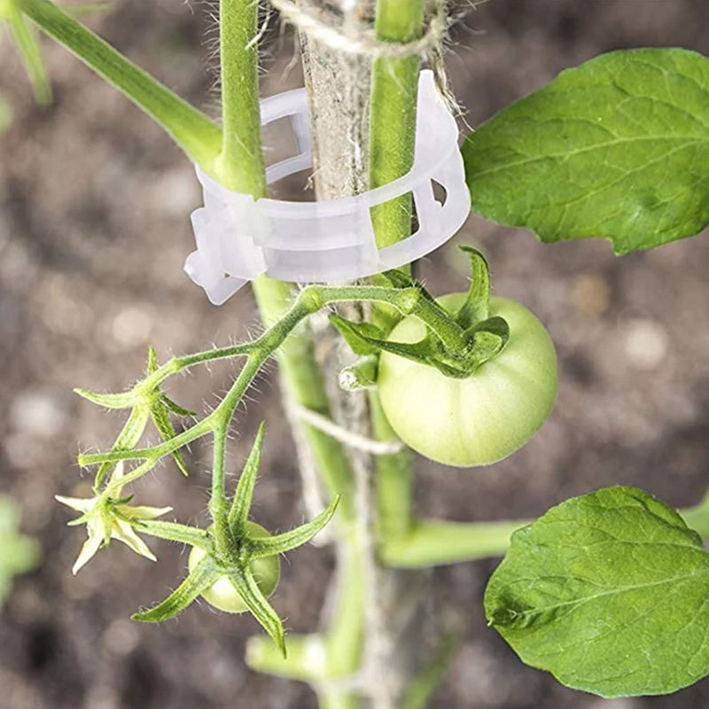 GrowGuard | Ontketen weelderige groei met onze plantensteunklemmen!