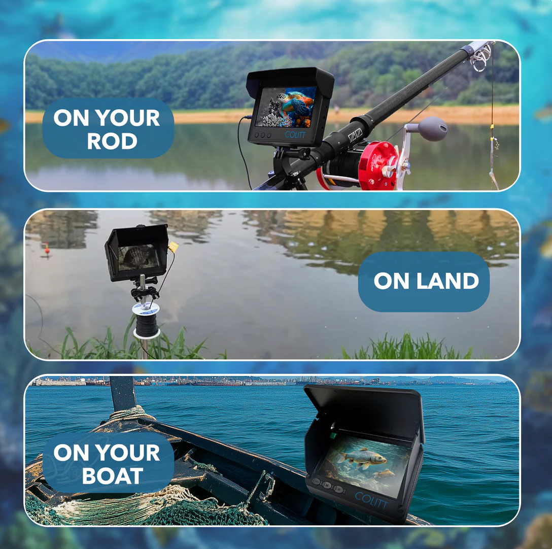 Viscam | Ontdek de onderwaterwereld, haarscherp!