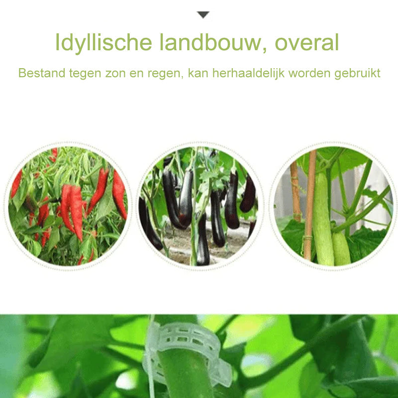 GrowGuard | Ontketen weelderige groei met onze plantensteunklemmen!