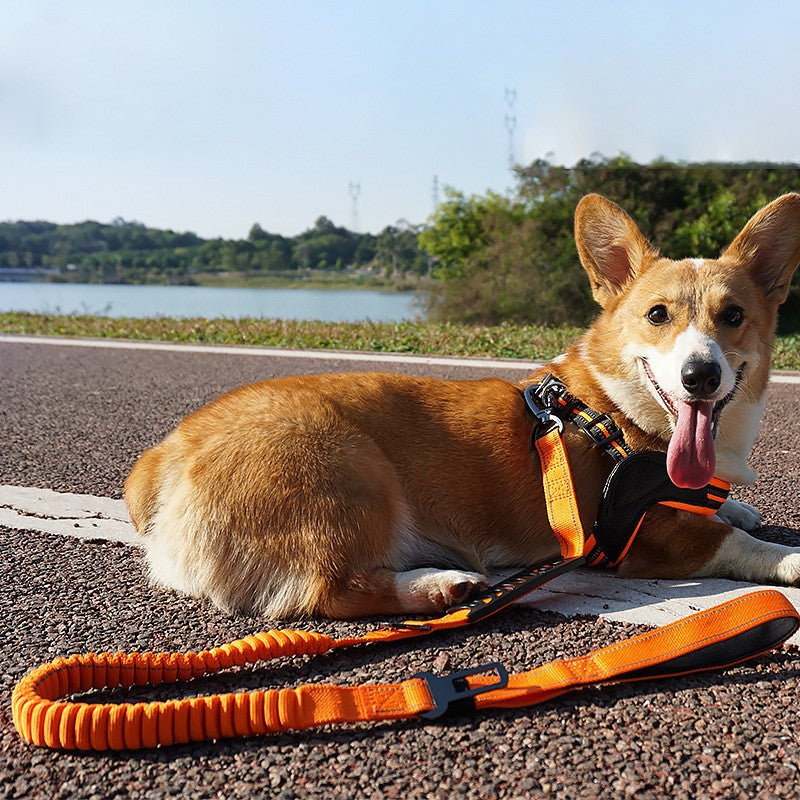 Tactische Honden riem - Ook te gebruiken als autogordel!