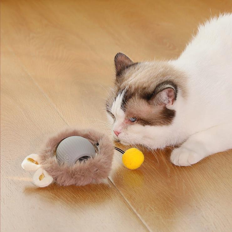 Kattenpret | Houd je kat gelukkig met de zelfrijdende bal!