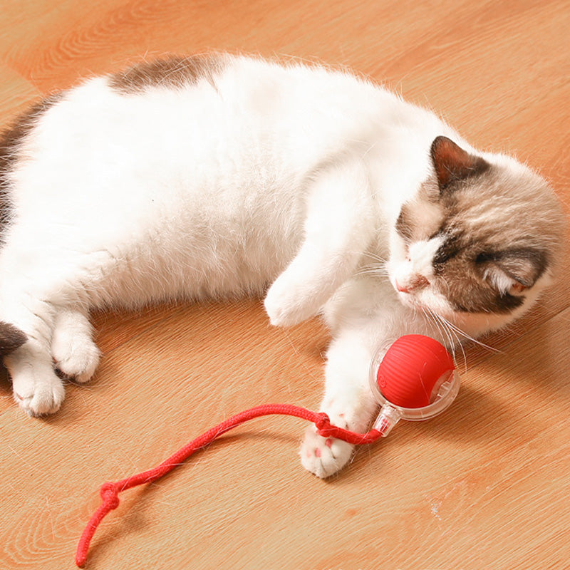 Kattenpret | Houd je kat gelukkig met de zelfrijdende bal!