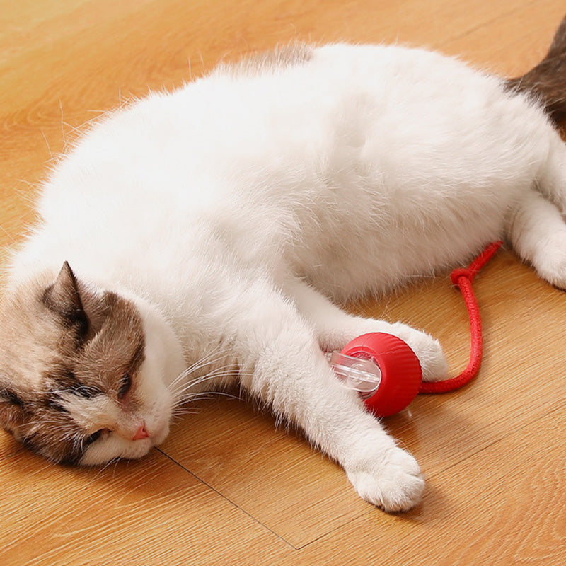 Kattenpret | Houd je kat gelukkig met de zelfrijdende bal!