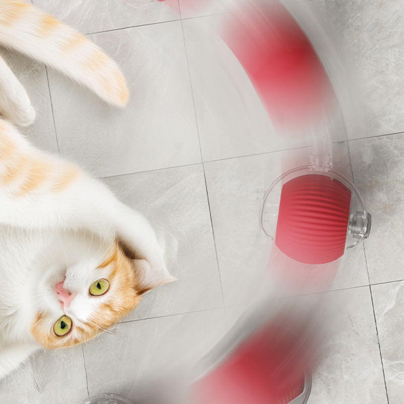 Kattenpret | Houd je kat gelukkig met de zelfrijdende bal!