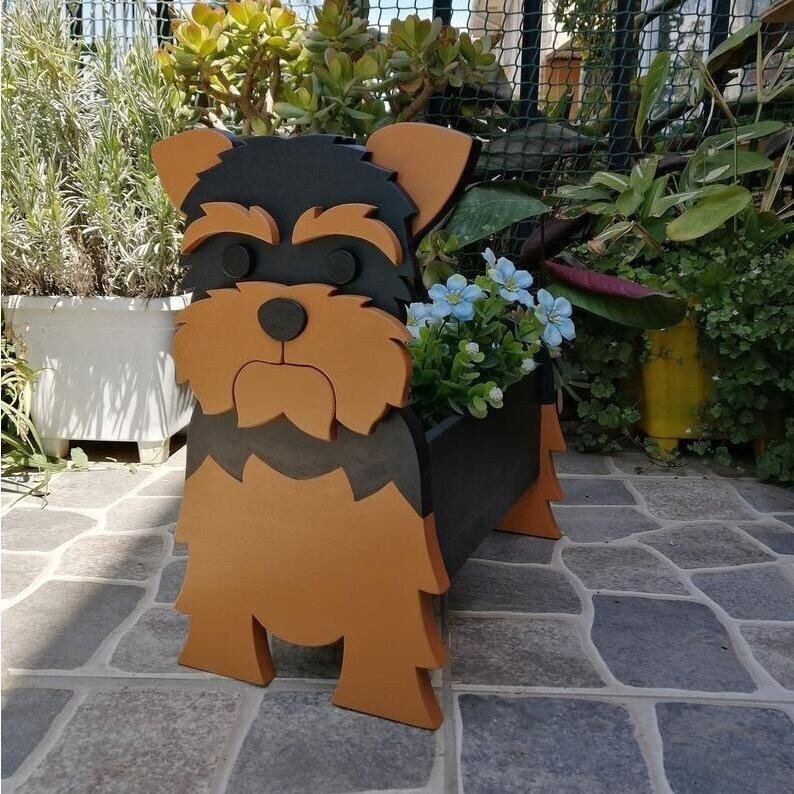 Hundeplanter til have, interiør og opbevaring