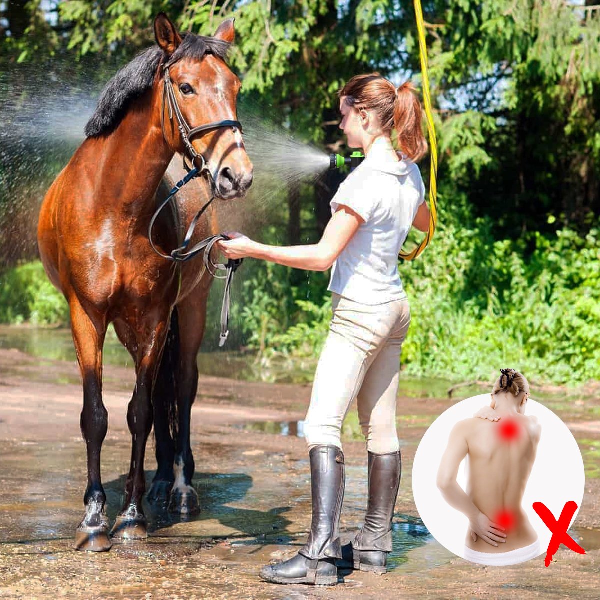 Nozoo Pony Jet | Vask din hest som aldrig før!