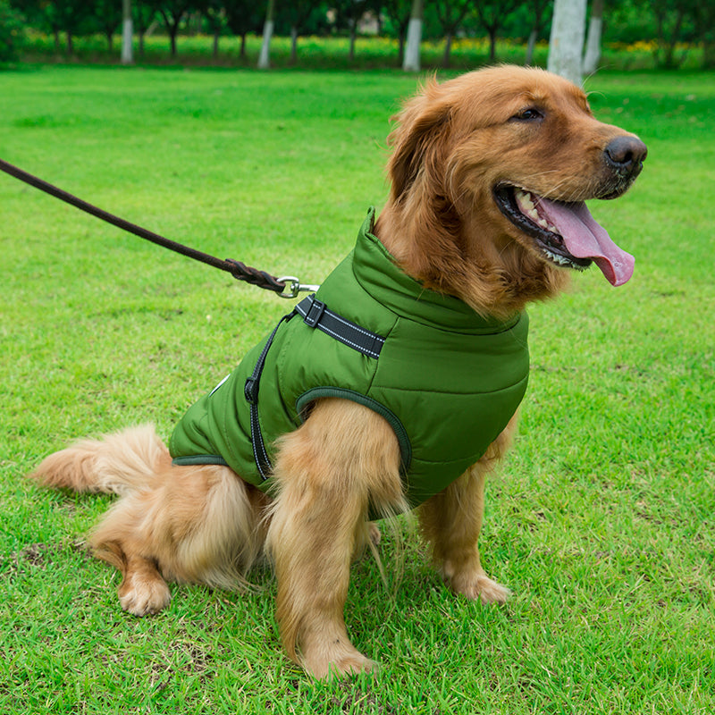 Honden Jasje | Het perfecte jasje voor het wandelen!