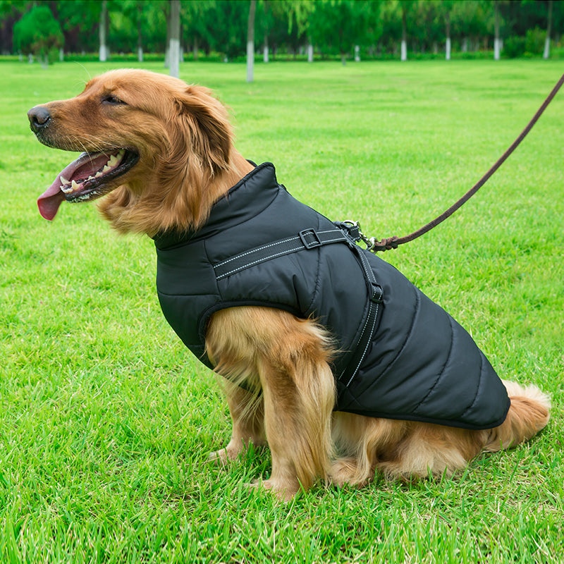 Honden Jasje | Het perfecte jasje voor het wandelen!