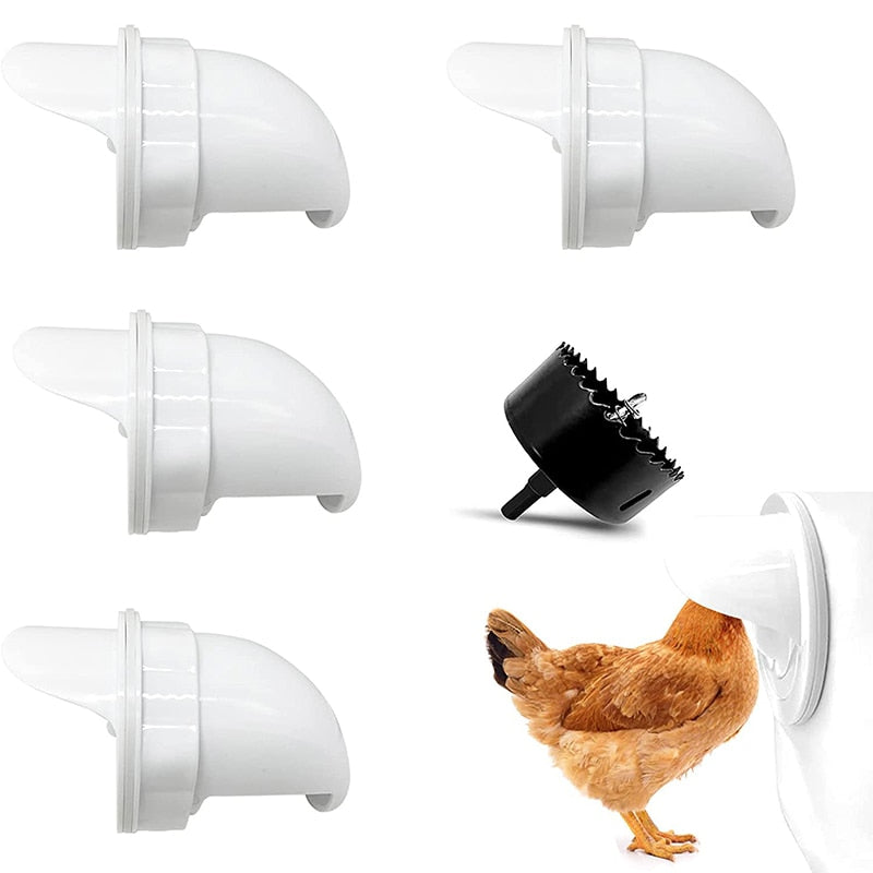 Kyllingefoder | Kyllinge foder