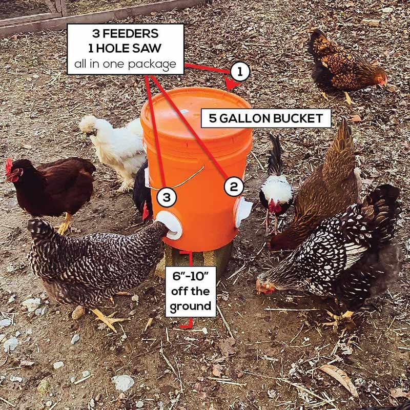 Kyllingefoder | Kyllinge foder