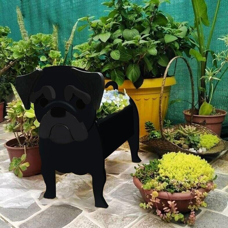 Hundeplanter til have, interiør og opbevaring