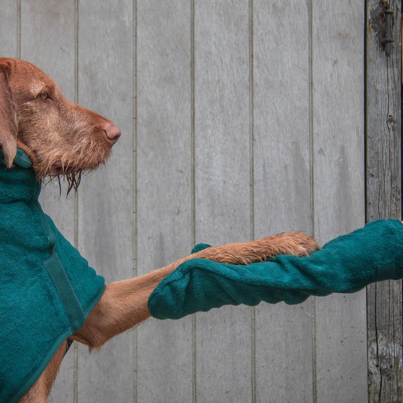 Tørre luffer | De superabsorberende tørre vanter til din hund!